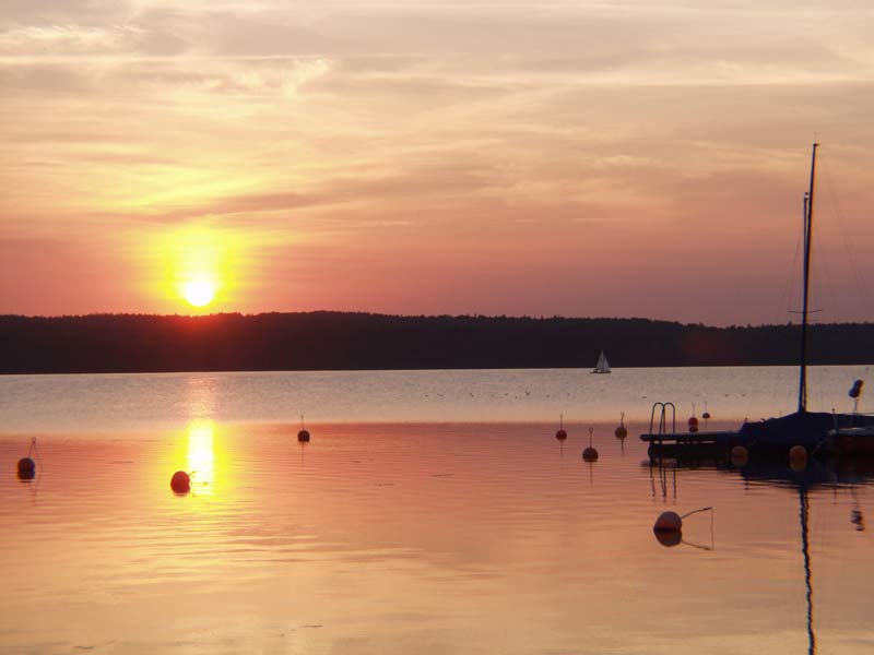 Angeln am Großen Plöner See